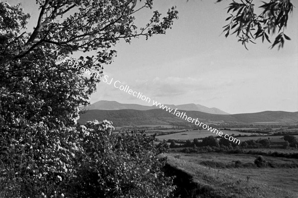 GALTEES FROM TIPPERARY